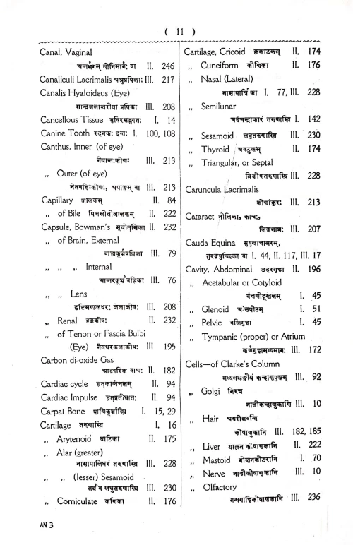 Anatomical Nomenclature